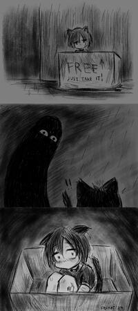 abandoned cat (2024)